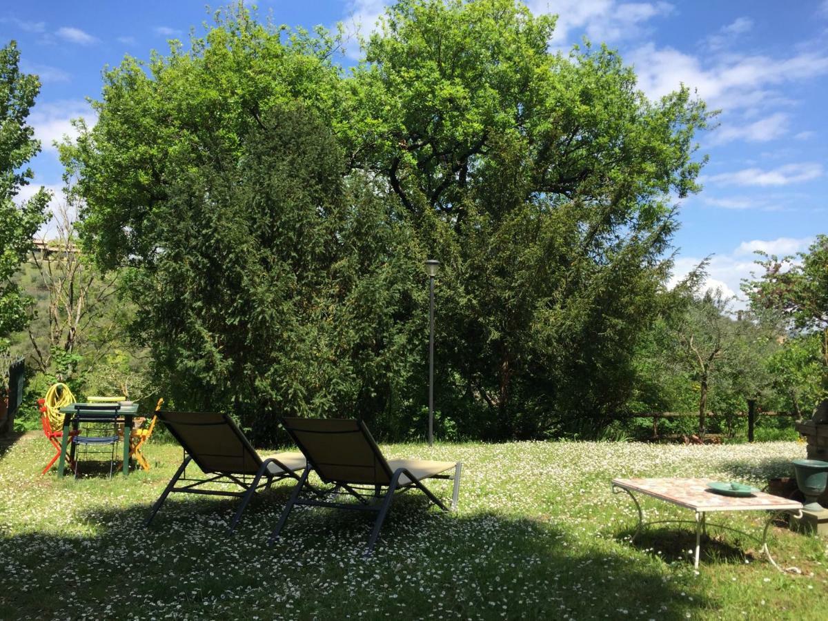 Oasi In The Garden Cozy - Holiday home